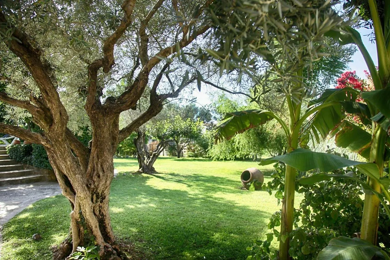 Holiday home Gite L'Olivier Carpentras